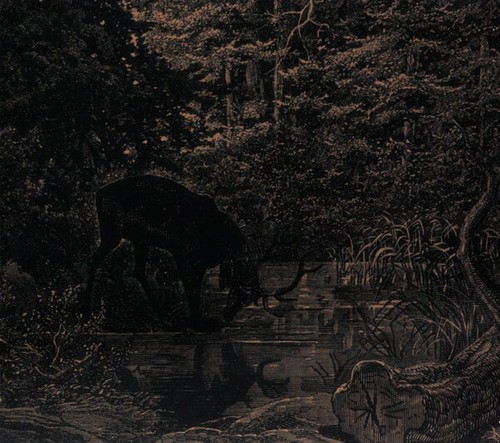 Agalloch stone wind - -, &